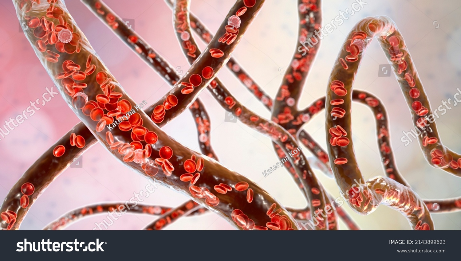 Blood Vessel Flowing Blood Cells 3d Stock Illustration 2143899623 ...