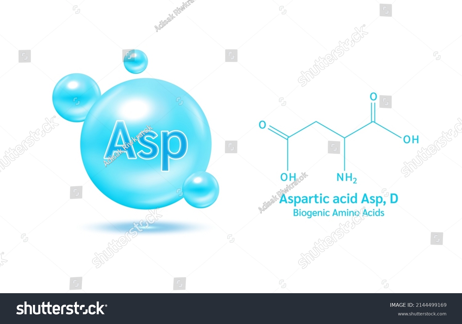 Important Amino Acid Aspartic Acid Asp Stock Vector (Royalty Free ...