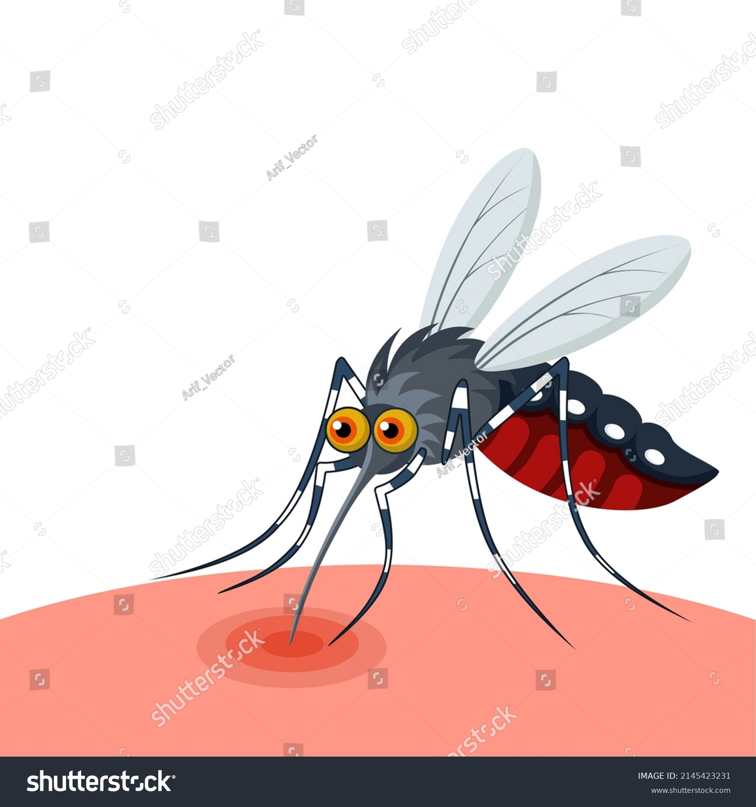 Vector Illustration Mosquito Sucking Blood Isolated Stock Vector ...