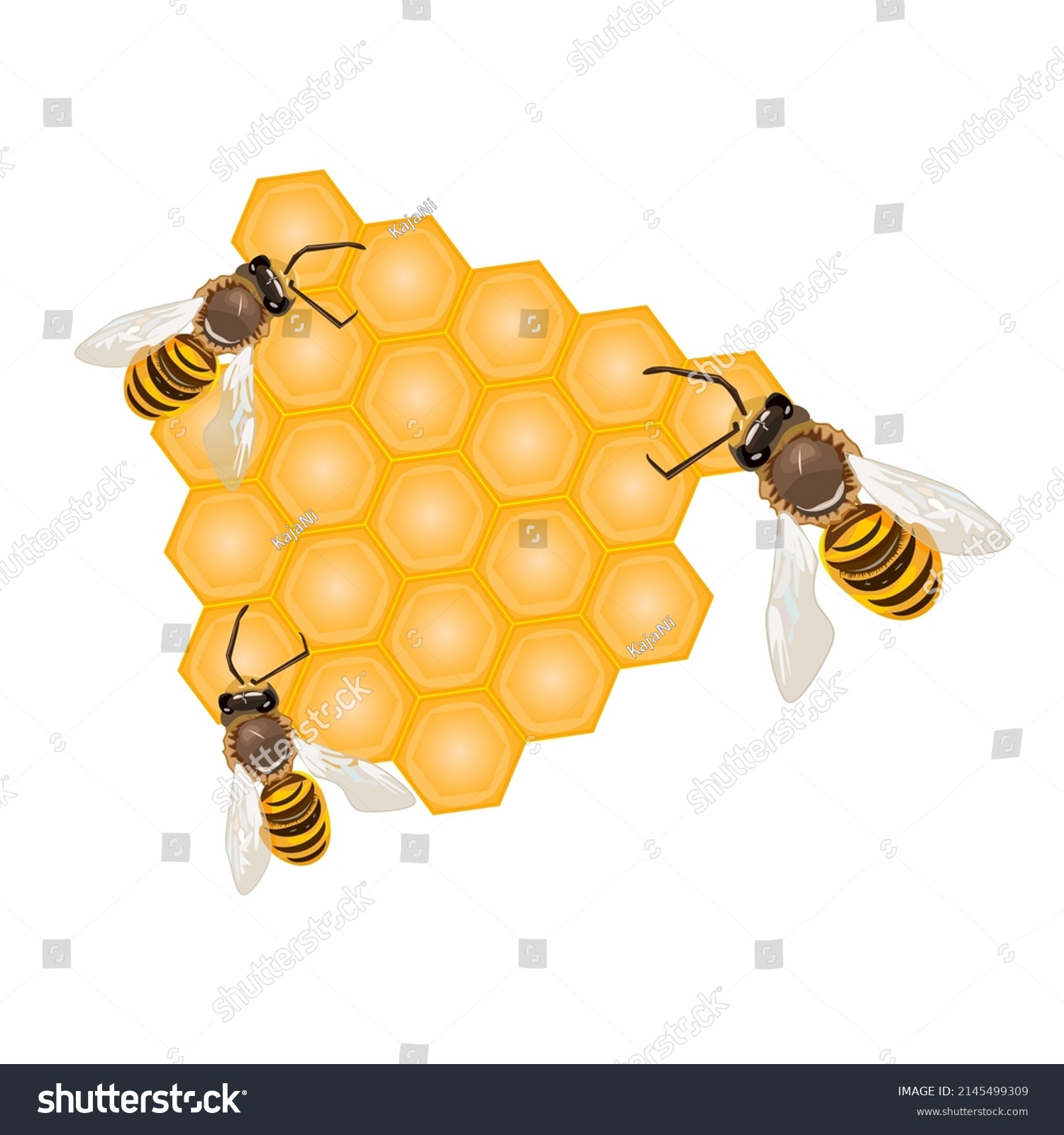 Bee On Honeycomb Isolated On White Stock Vector (Royalty Free ...