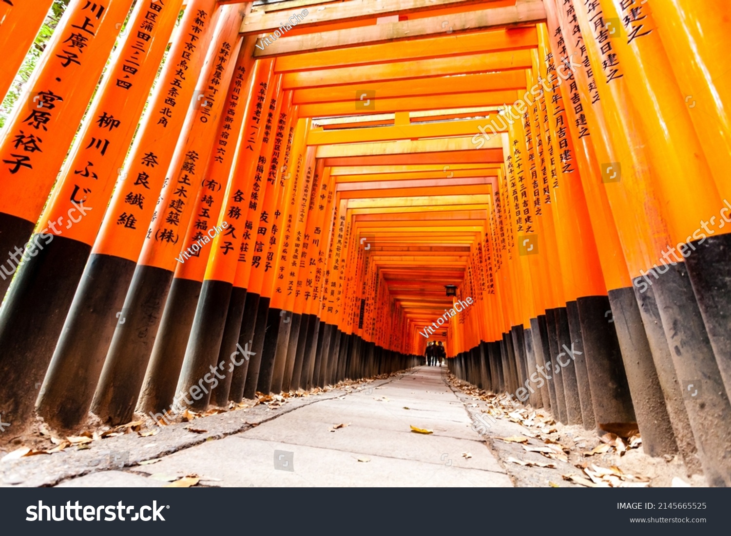 Traditional Korean Fermented Food Gwangjang Market写真素材 Shutterstock