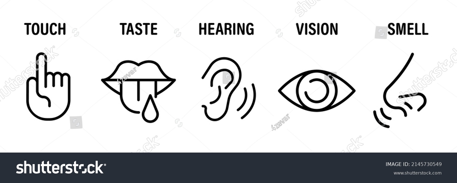 Five Senses Vector Icons Set Vision Stock Vector (Royalty Free ...