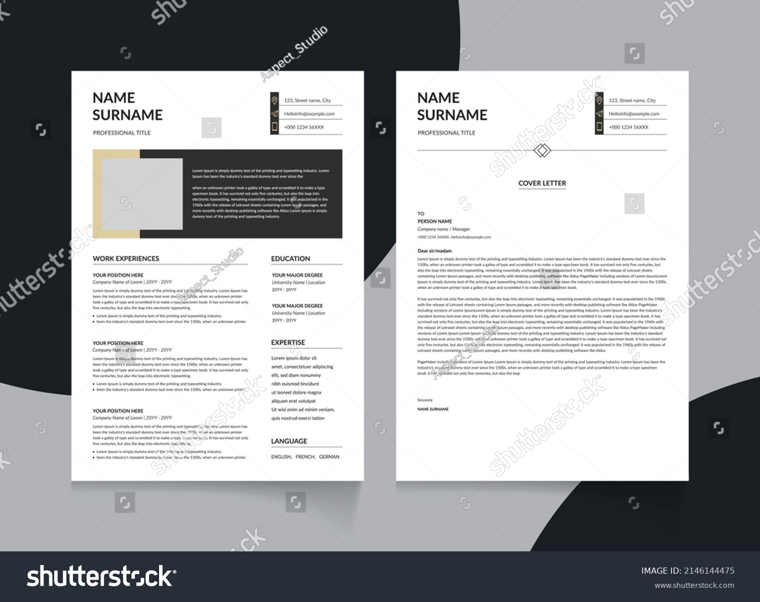 Professional Resume Cv Template Design Stock Vector (Royalty Free ...