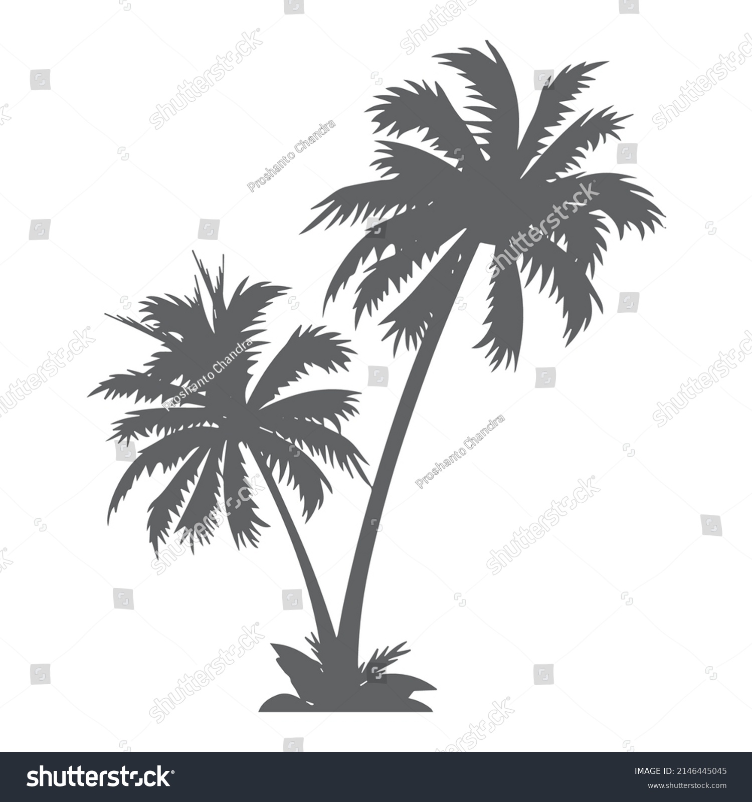 Black White Palm Tree Line Art Stock Vector (Royalty Free) 2146445045 ...