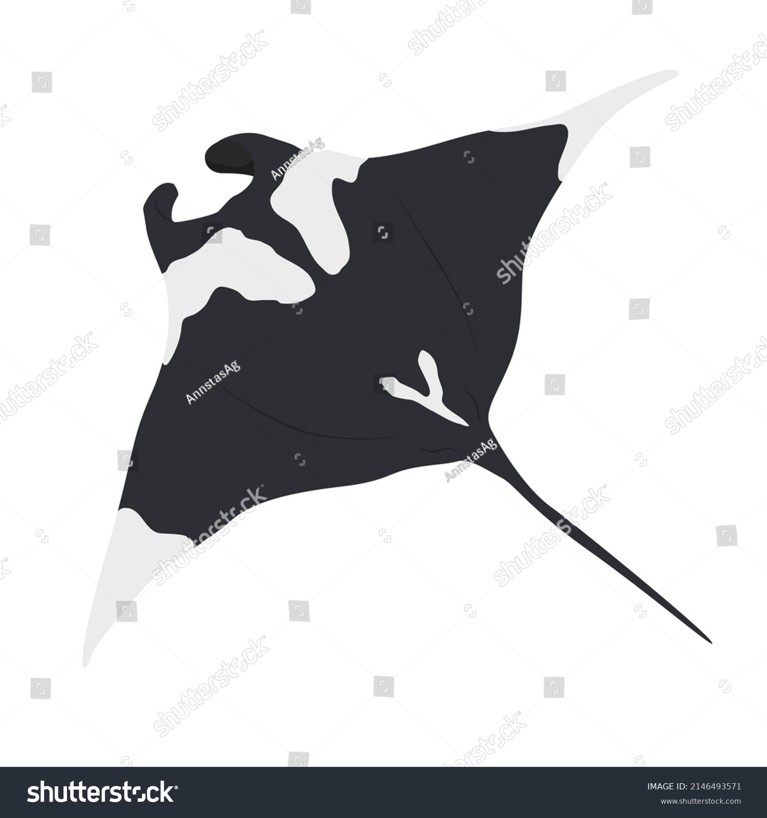 Giant Oceanic Manta Ray View Above Stock Vector (Royalty Free ...