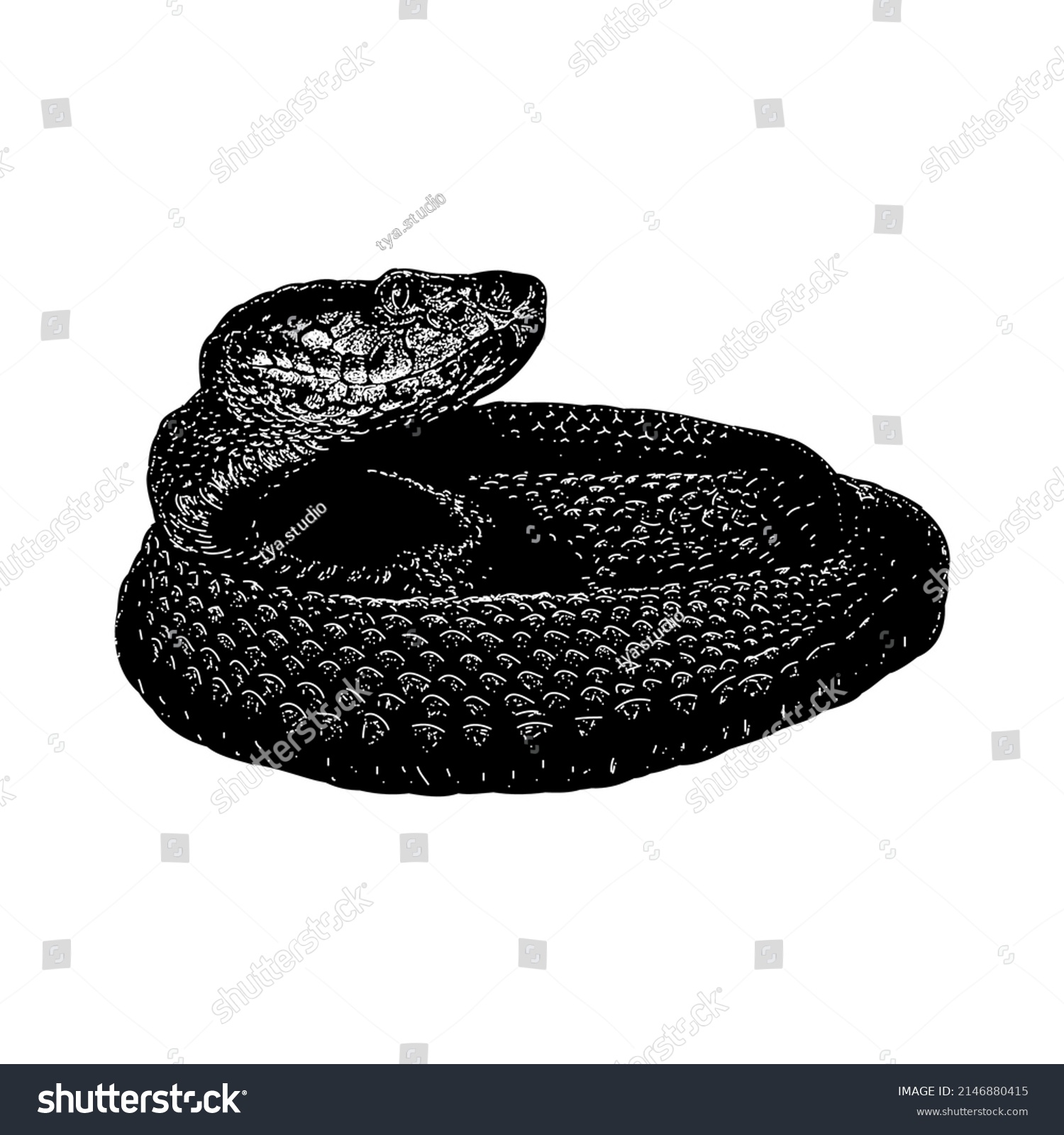 Habu Snake Hand Drawing Vector Illustration Stock Vector (royalty Free 