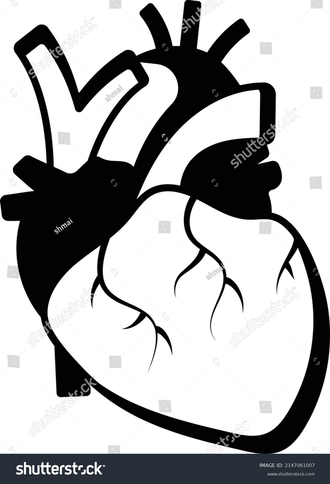 Cardiovascular System Vector Line Icon Design Stock Vector Royalty Cardiovascular System Vector Line Icon Design Stock Vector Royalty