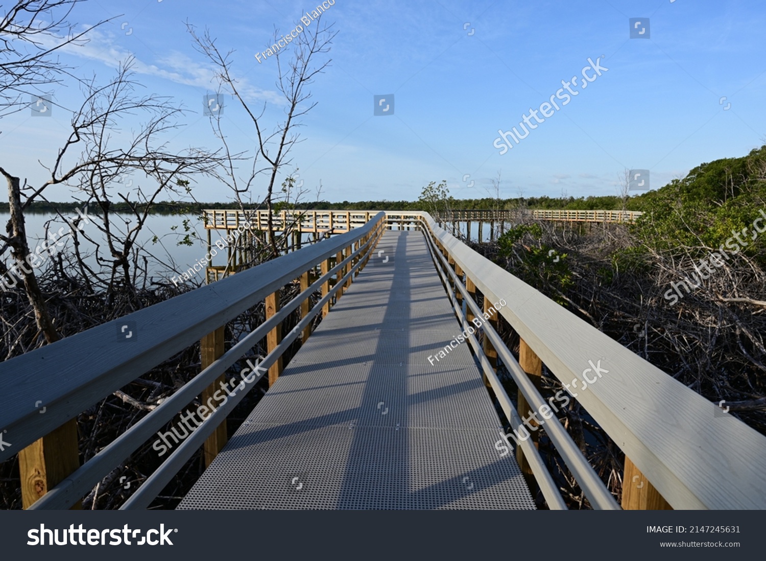 1,719 West Lake Florida Images, Stock Photos & Vectors | Shutterstock