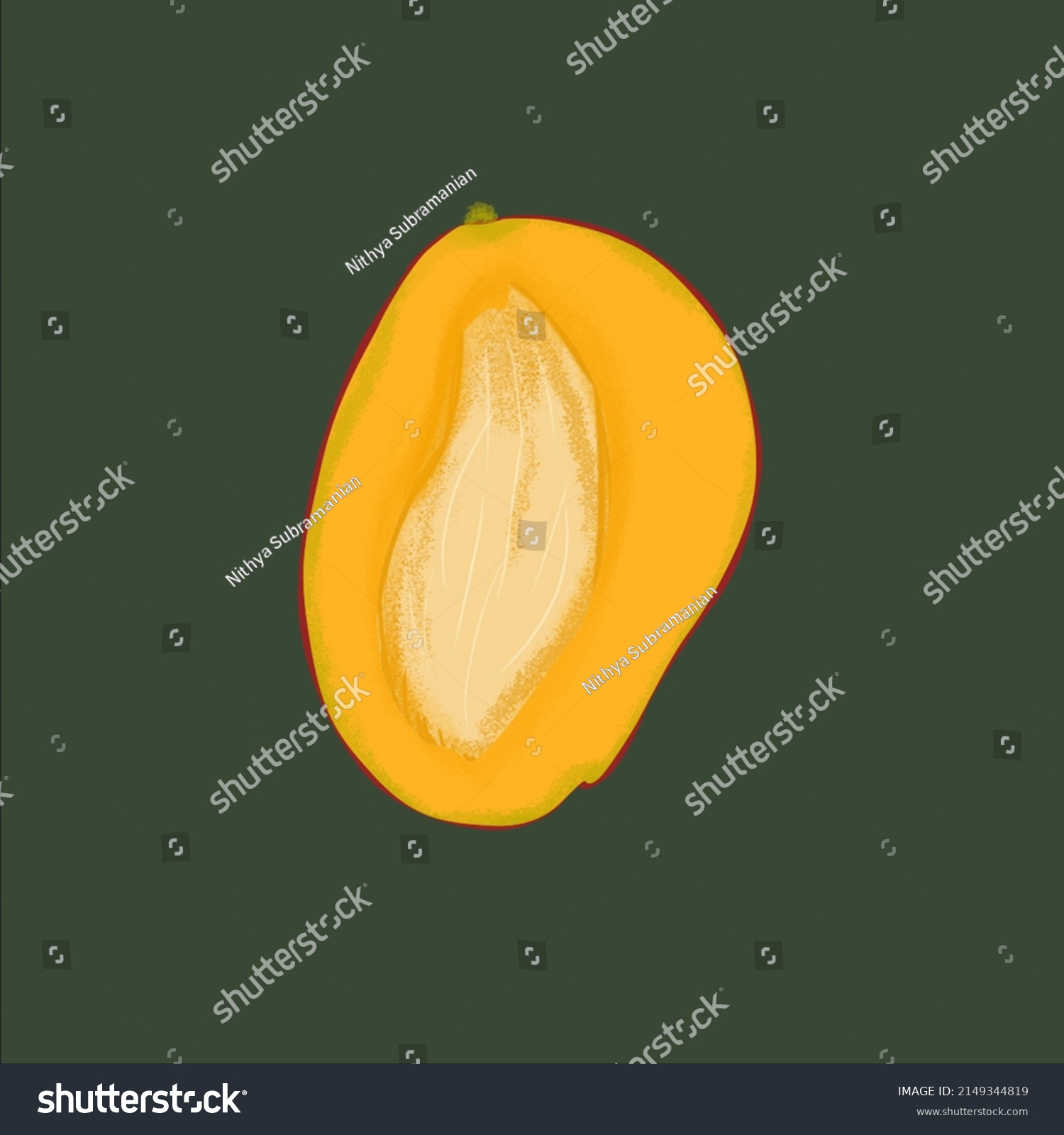 Cross Section View Mango Illustrated Digitally Stock Illustration Shutterstock