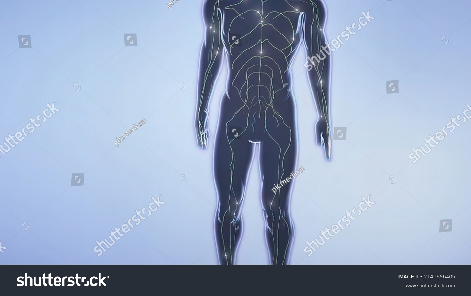 Neurons Fundamental Units Brain Nervous System Stock Illustration Neurons Fundamental Units Brain Nervous System Stock Illustration