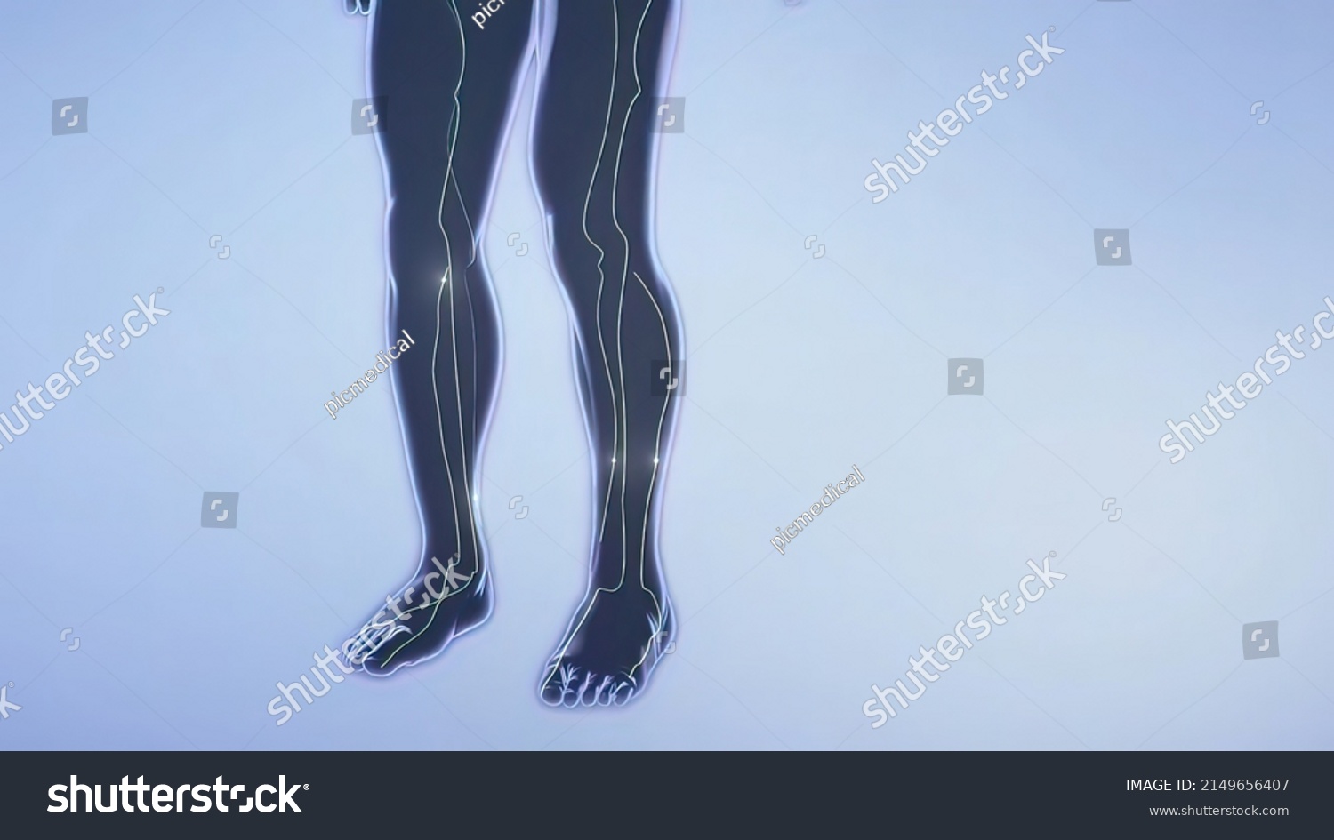 Neurons Fundamental Units Brain Nervous System Stock Illustration Neurons Fundamental Units Brain Nervous System Stock Illustration
