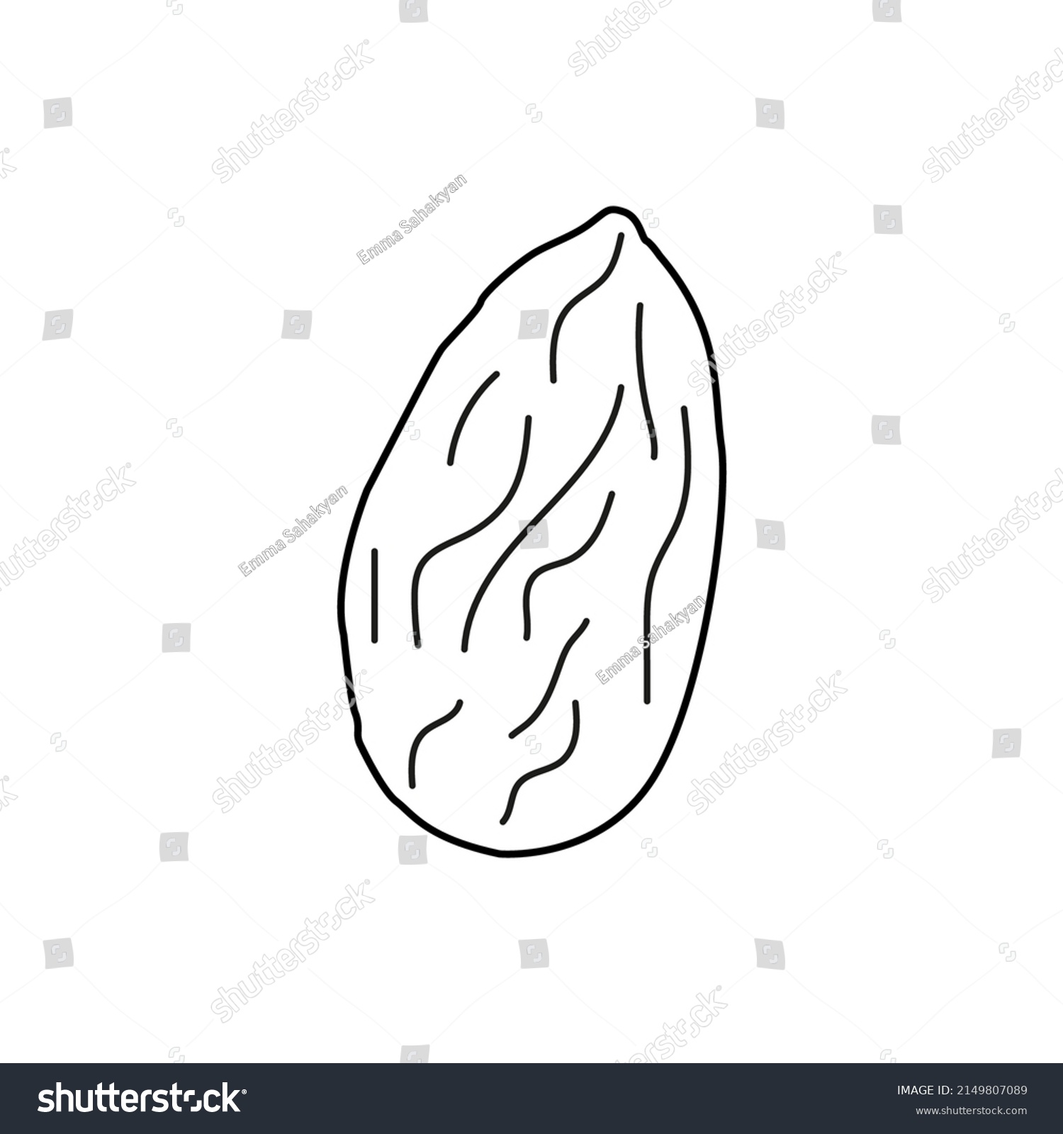 Almond Linear Icon Thin Line Illustration Stock Vector (Royalty Free ...