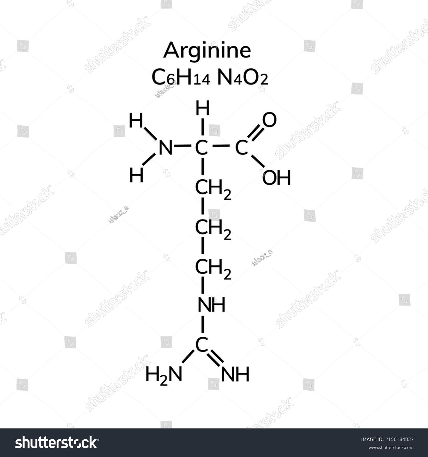 Nonessential Amino Acid Arginine On White Stock Vector Royalty Free Shutterstock