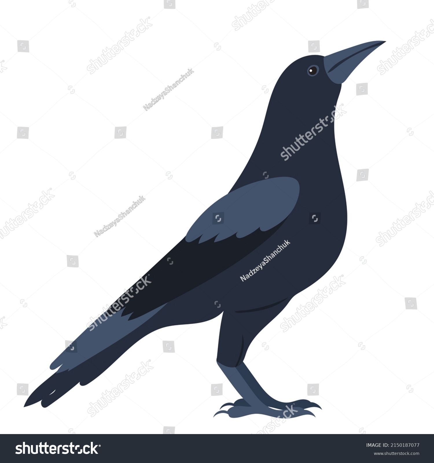 Crows Flat Design Isolated On White Stock Vector (Royalty Free ...