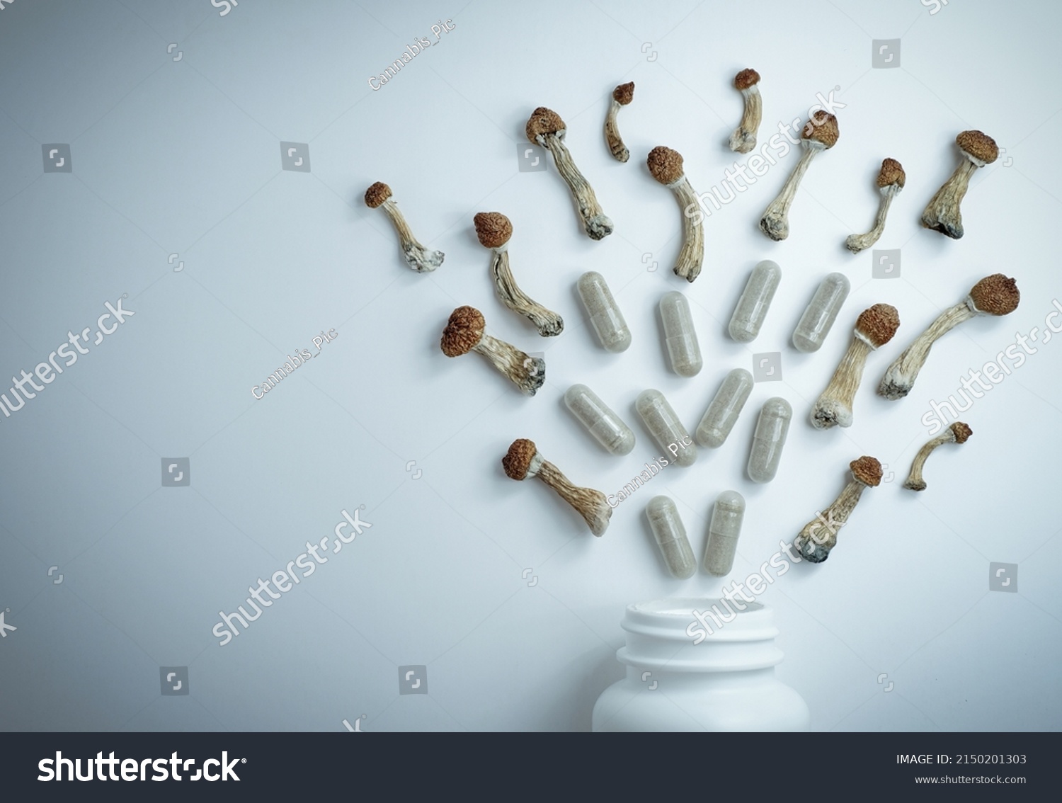 Micro Dosing Concept Dry Psilocybin Mushrooms Stock Photo 2150201303 Micro Dosing Concept Dry Psilocybin Mushrooms Stock Photo 2150201303