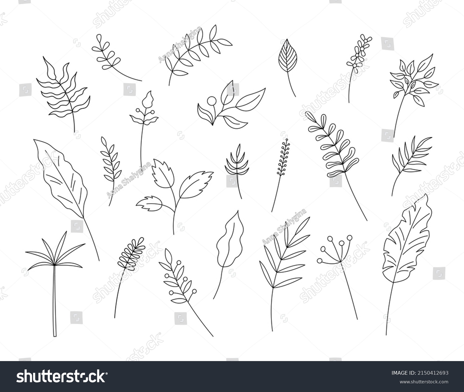 Outline Leaves Isolated Vector Set Plant Stock Vector (Royalty Free ...