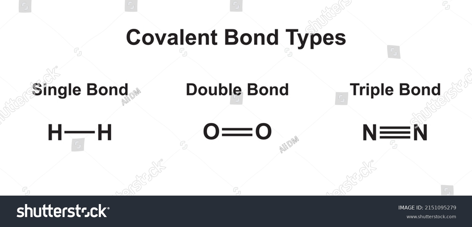 Scientific Designing Covalent Bond Types Single Stock Vector Royalty Free 2151095279 