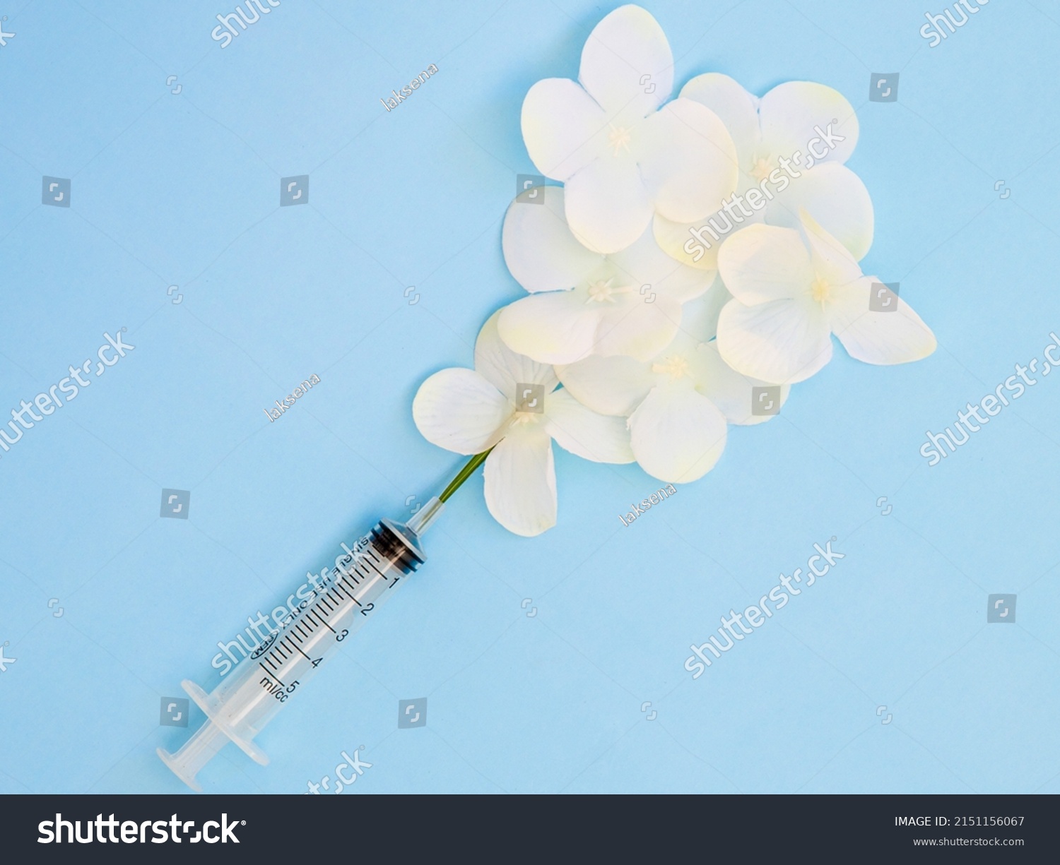 Natural White Flower Injection Syringe On Stock Photo 2151156067 ...