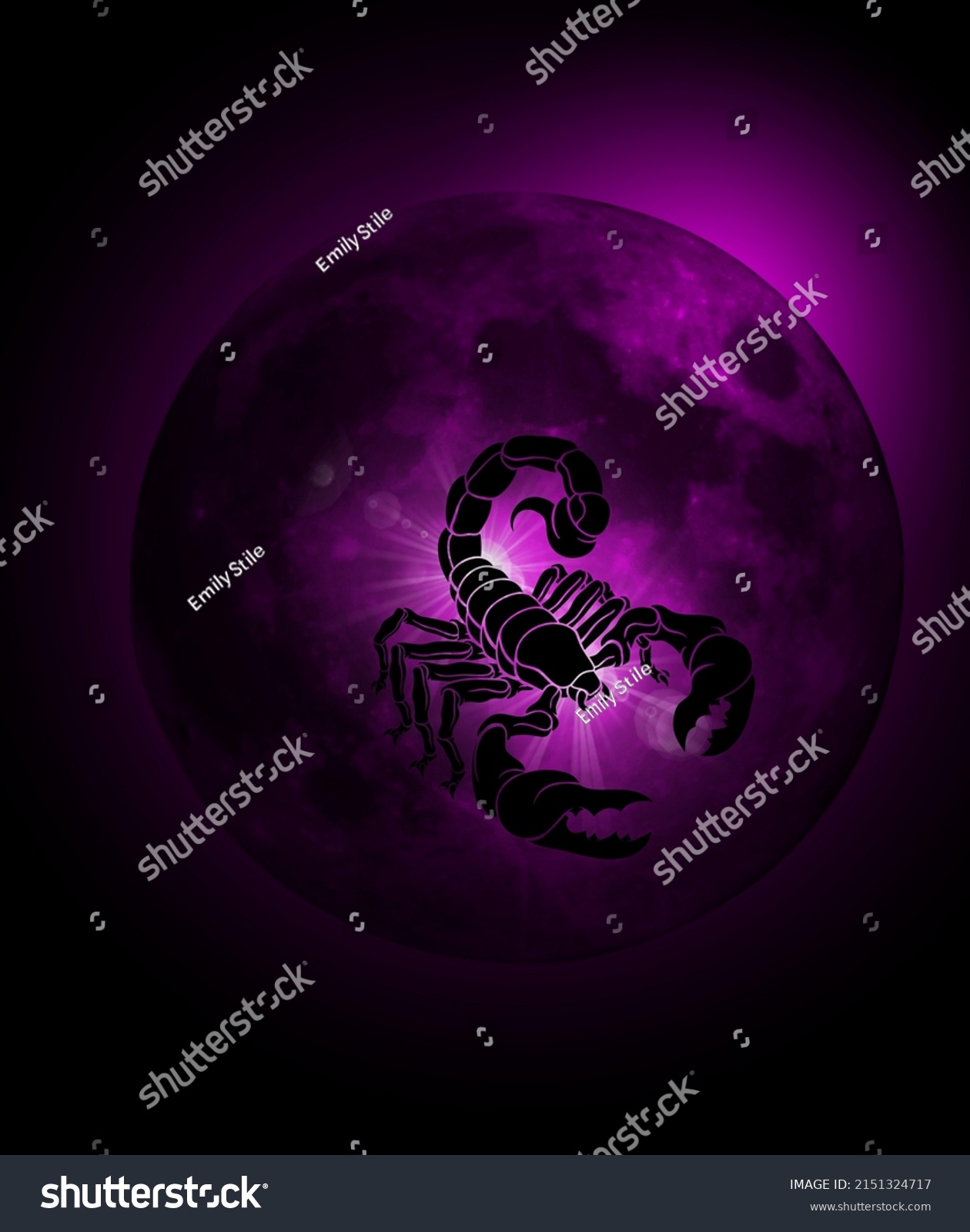 830 Black light scorpion Images, Stock Photos & Vectors | Shutterstock