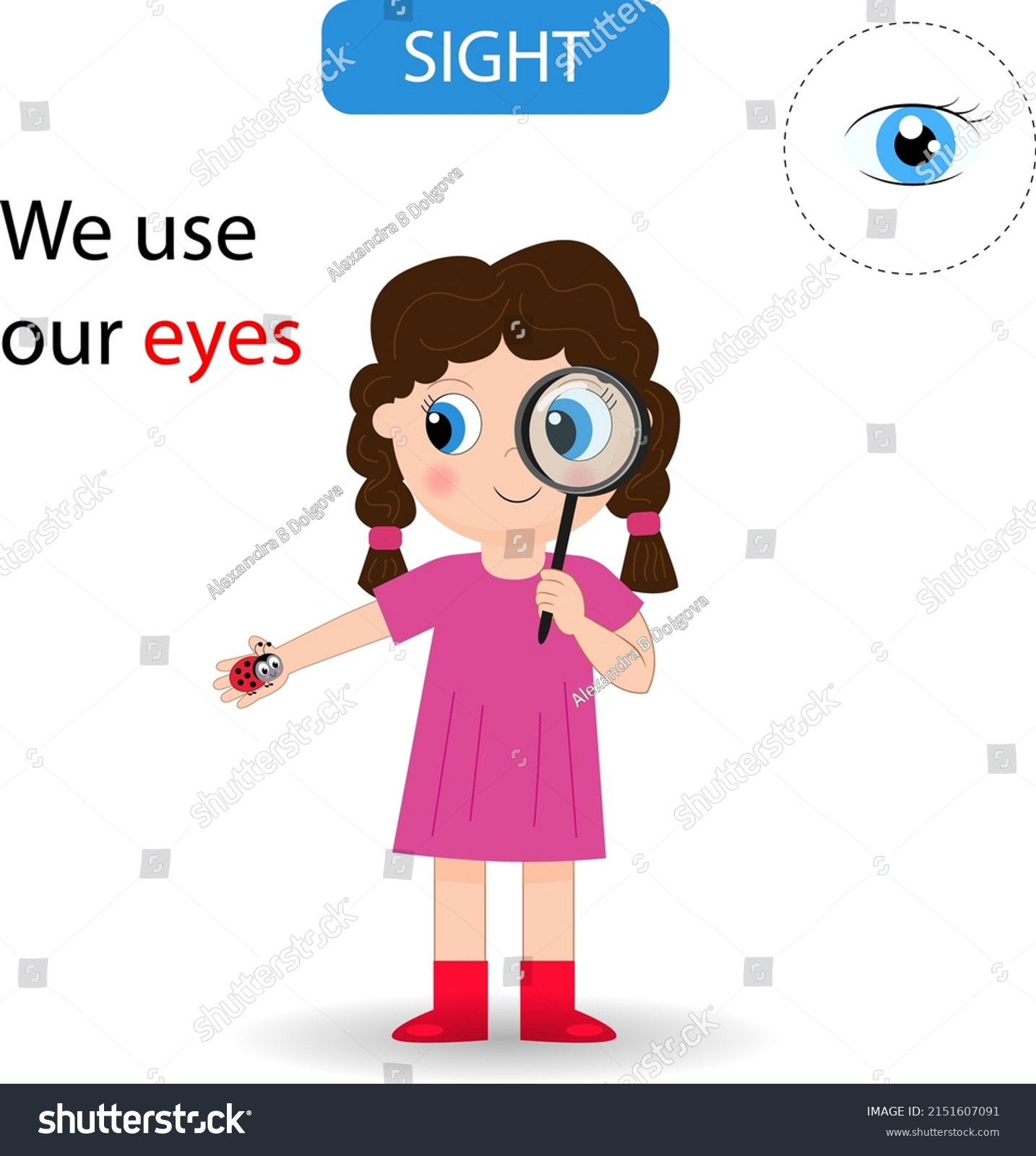 Girl Looks Ladybug Through Magnifying Glass Stock Vector (Royalty Free ...