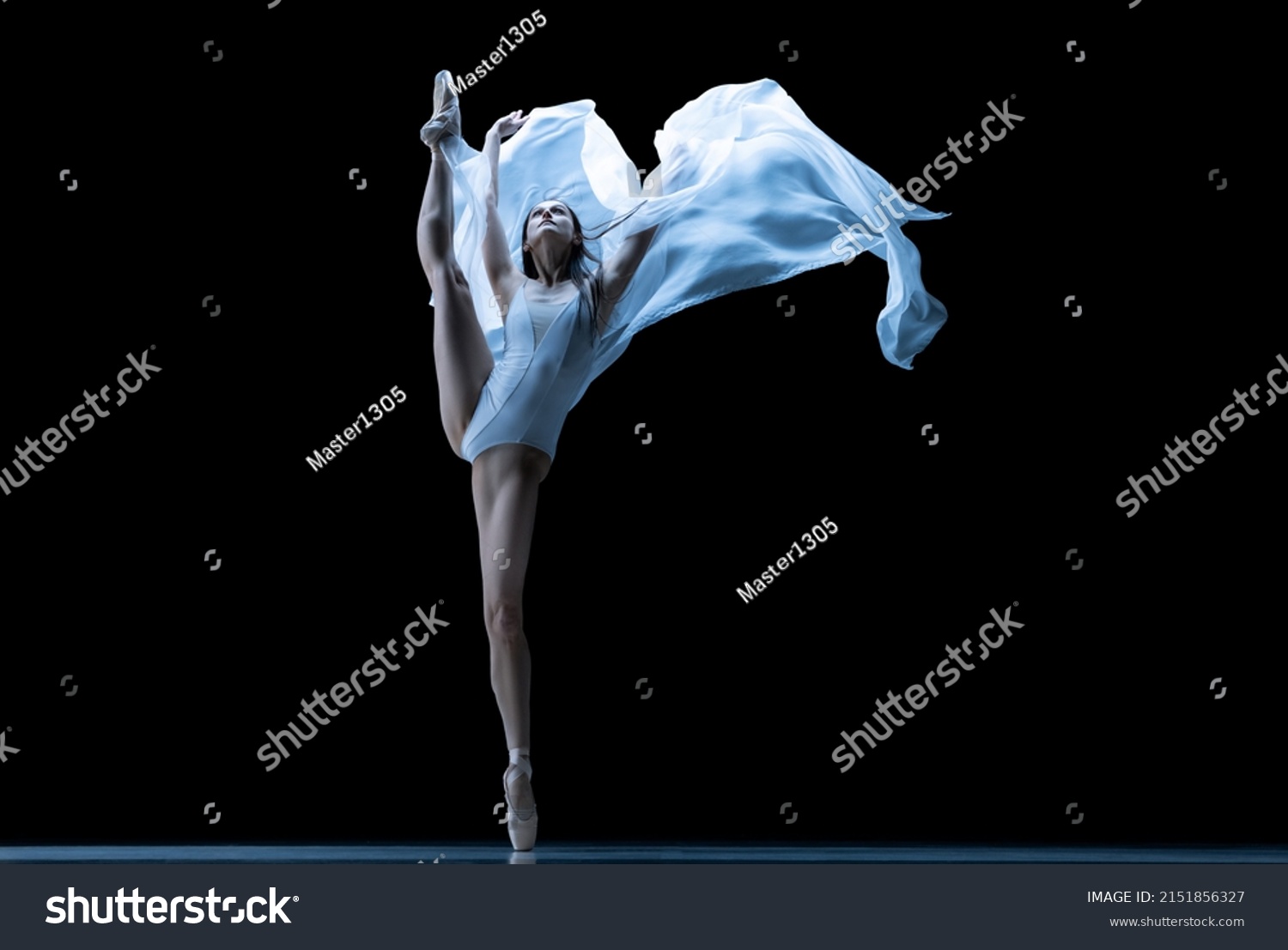 1,911 Ballet Solo Stock Photos, Images & Photography | Shutterstock