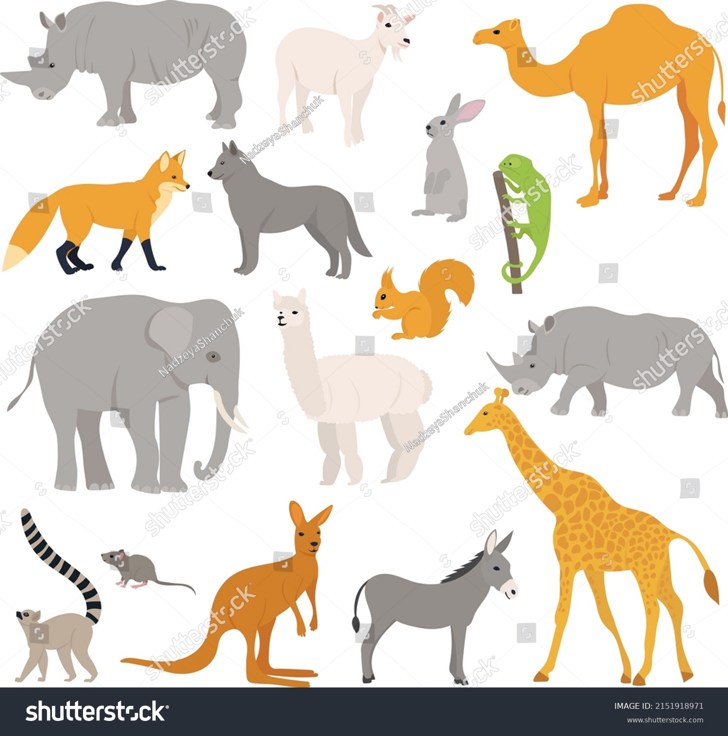 Wild Animals Set Flat Design Isolated Stock Vector (royalty Free 