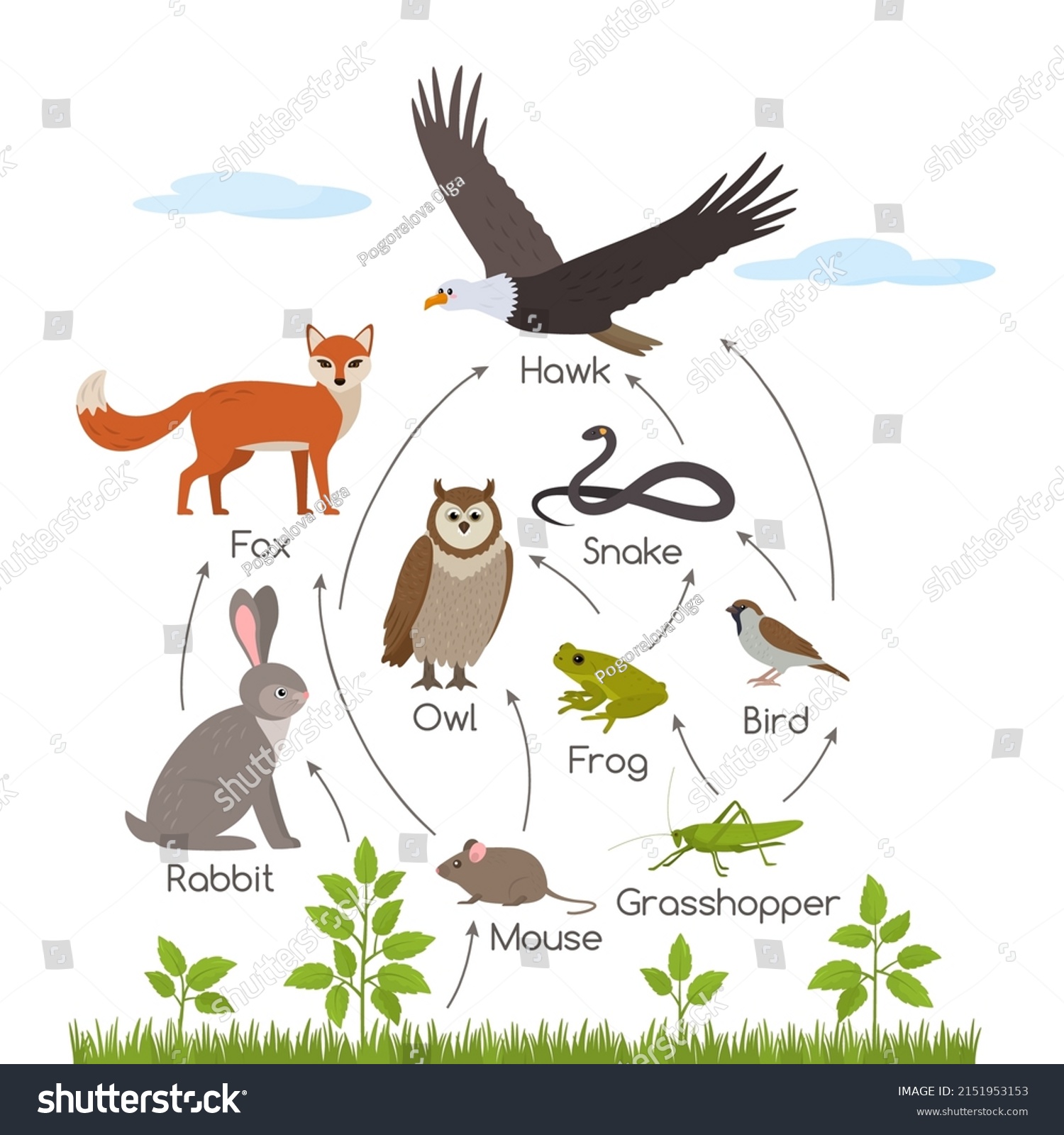 Educational Banner Kids About Food Chain Stock Vector (Royalty Free ...