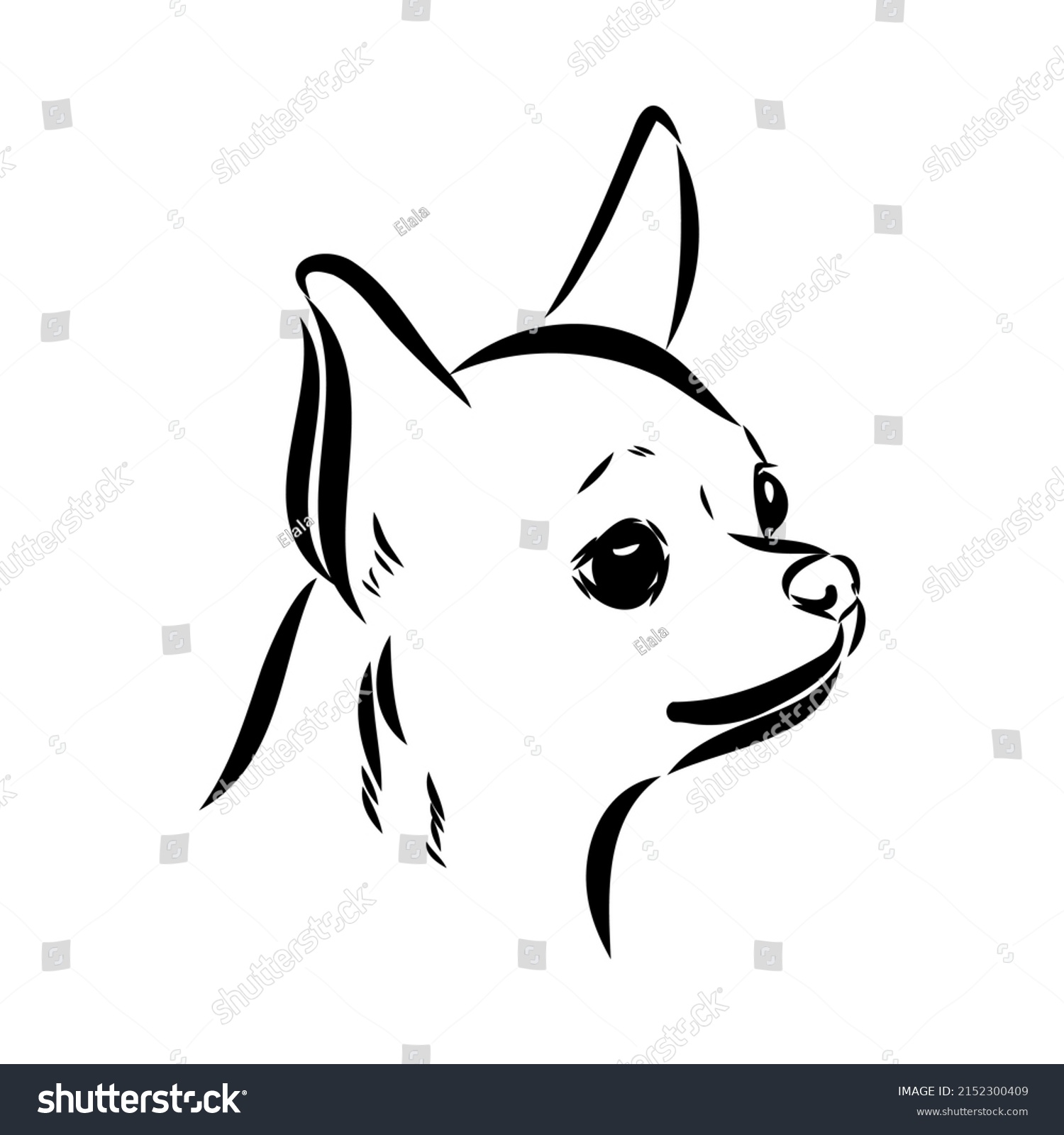 Chihuahua Dog Isolated Vector Illustration Chihuahua Stock Vector ...