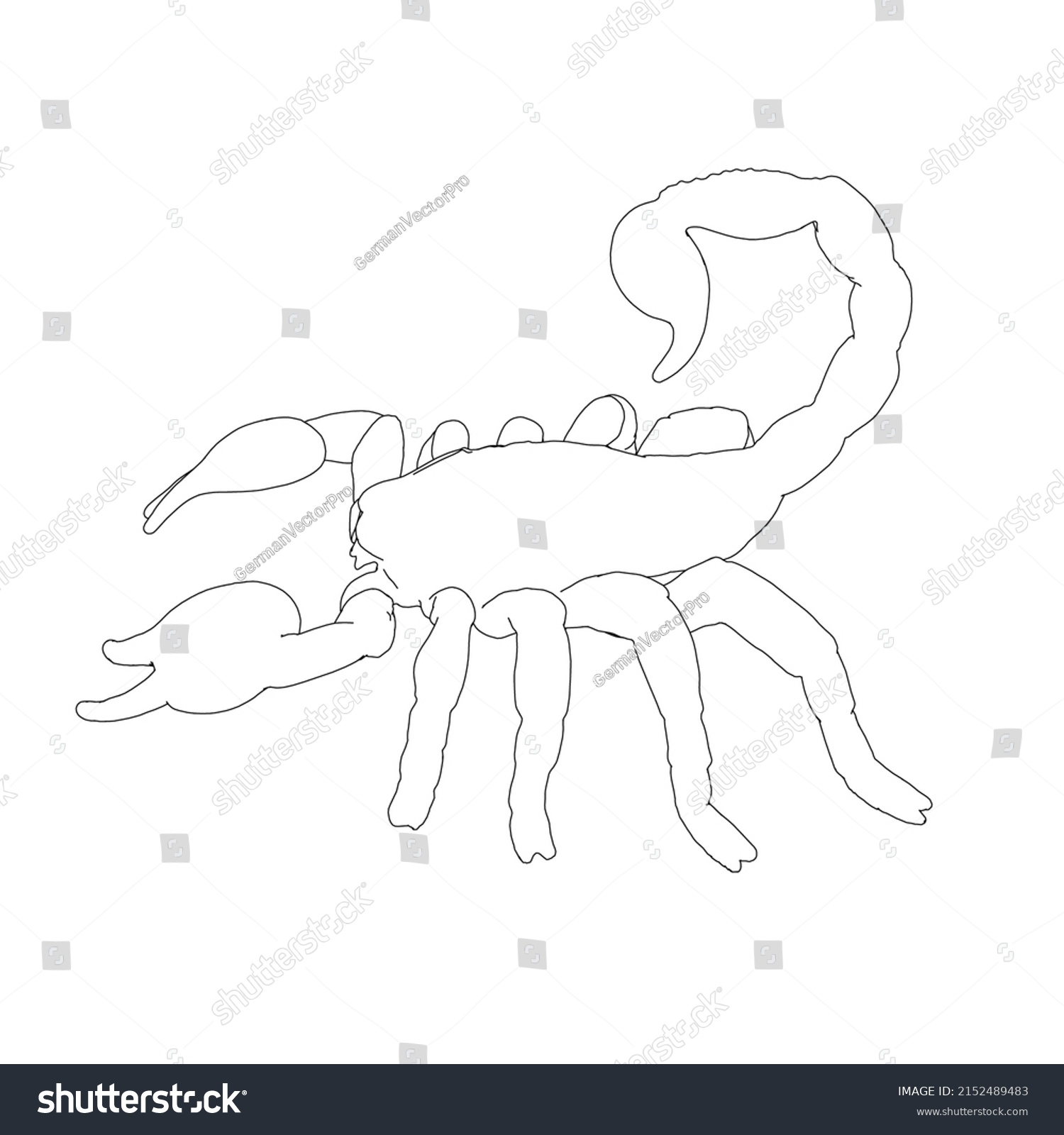 Contour Scorpion Black Lines Isolated On Stock Vector (royalty Free 