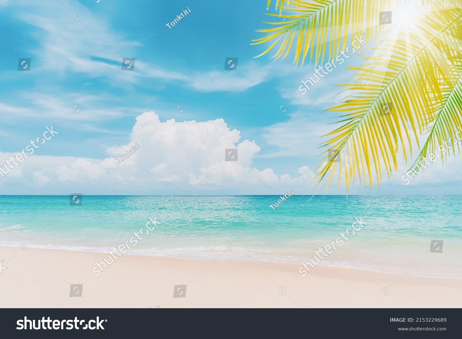Palm Tree On Tropical Beach Blue Stock Photo Shutterstock