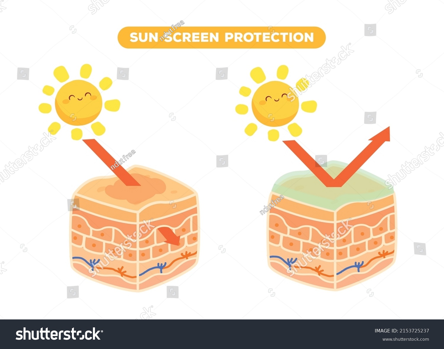 Protection Uv Rays Sun Into Epidermis Stock Vector (Royalty Free ...