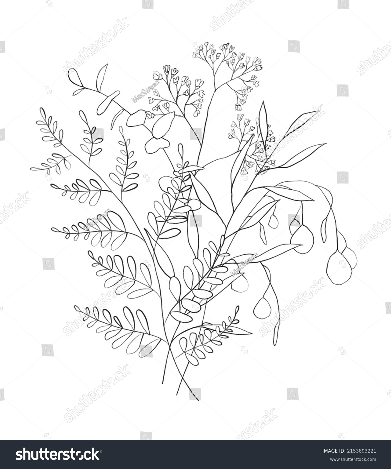 Botanic Outline Wildflower Bouquet Hand Drawn Stock Illustration ...