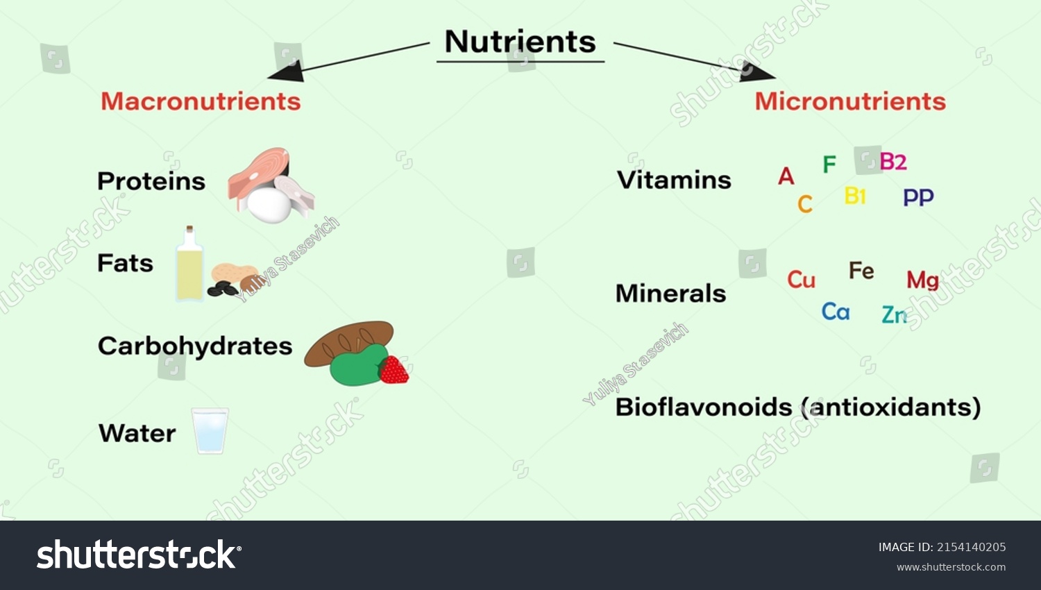 Diagram Composition Nutrients What Macronutrients Micronutrients Stock ...