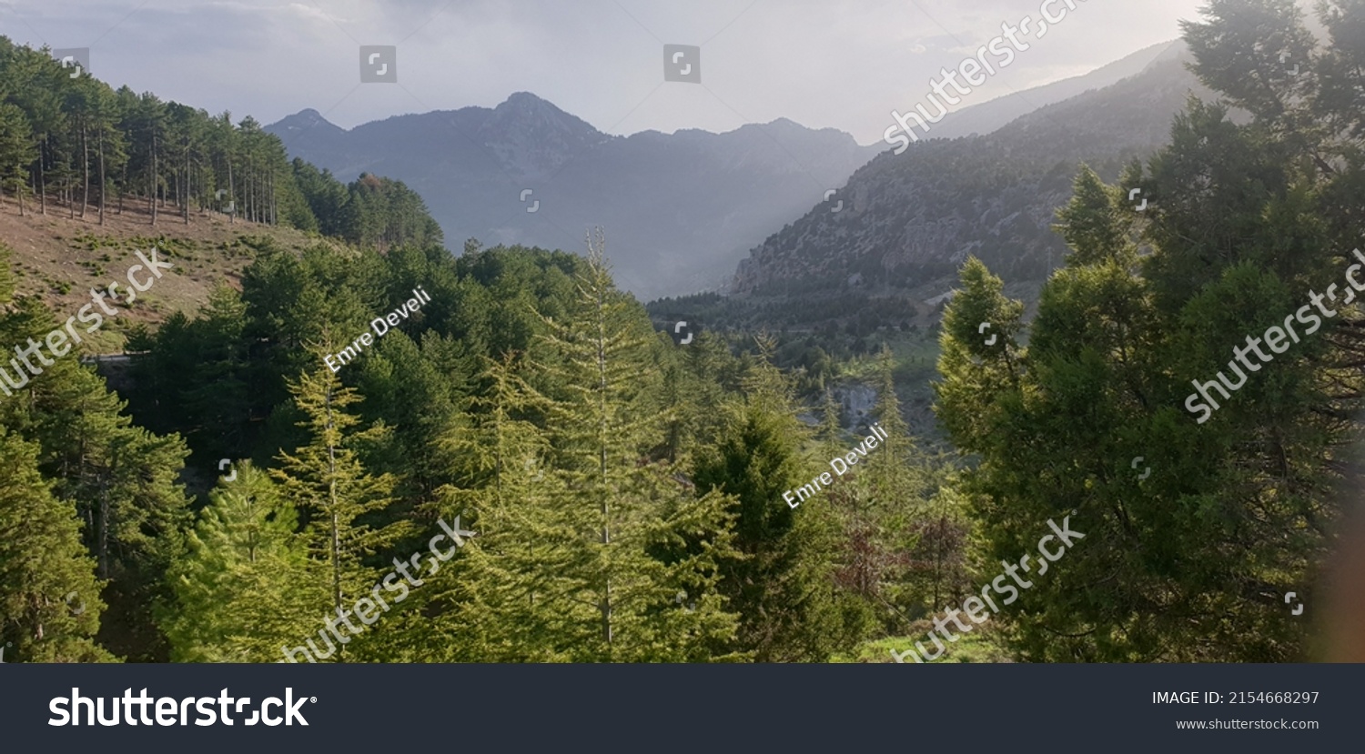 163 Orman panorama Images, Stock Photos & Vectors | Shutterstock