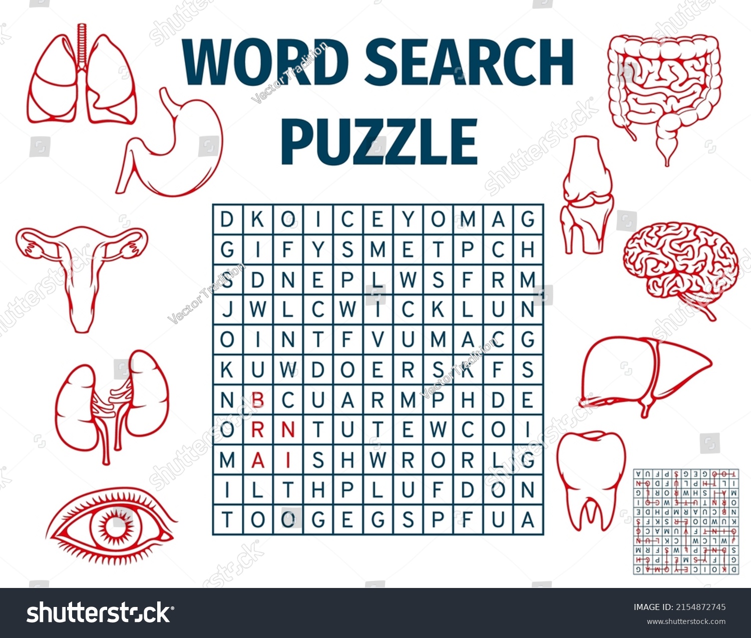 Human Body Organs Word Search Puzzle Stock Vector Royalty Free   Stock Vector Human Body Organs Word Search Puzzle Game Worksheet Vector Riddle Grid Medical Word Search Game 2154872745 