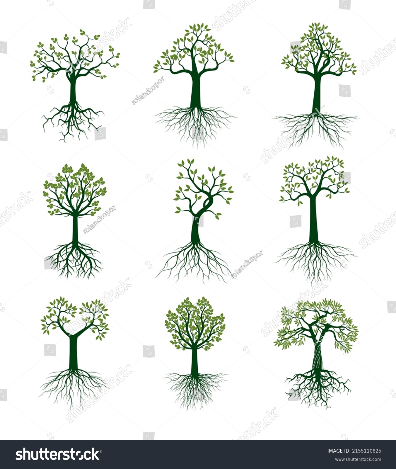 Set Green Trees Roots Vector Outline Stock Vector (Royalty Free ...