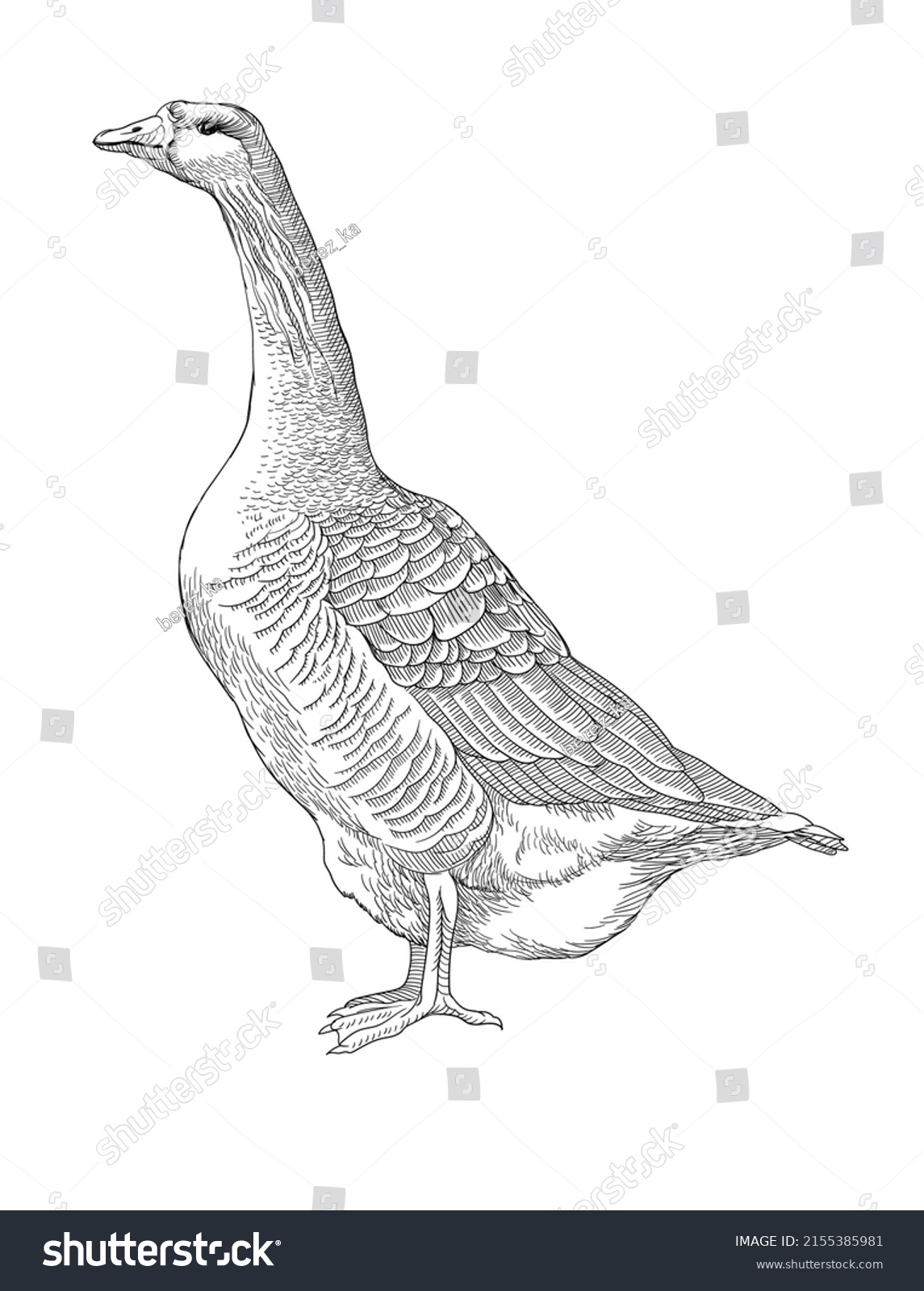 Goose Realistic Sketch Vector Illustration Stock Vector (Royalty Free ...