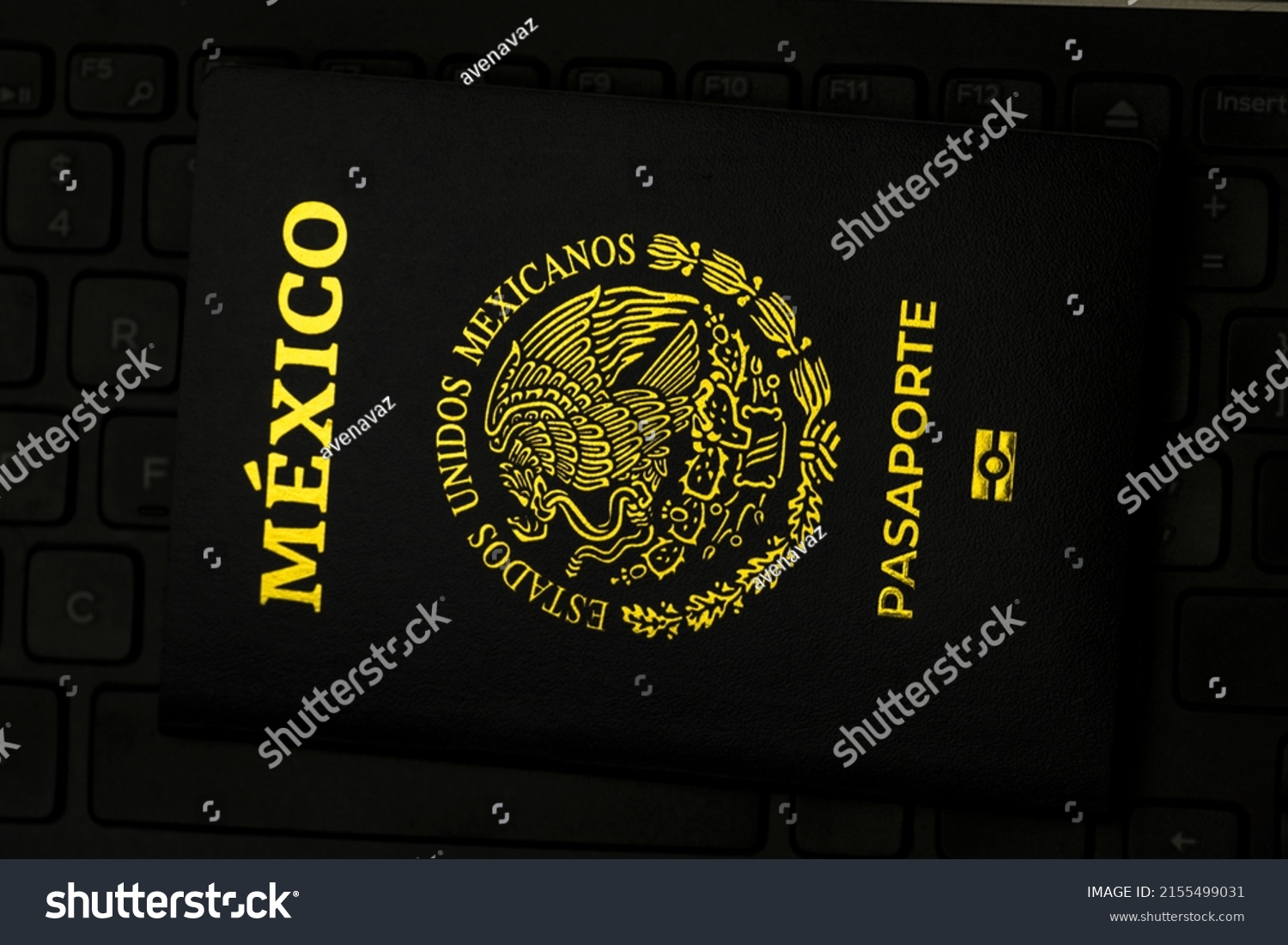 Cover New Mexican Passport Electronic Icon Stock Photo 2155499031