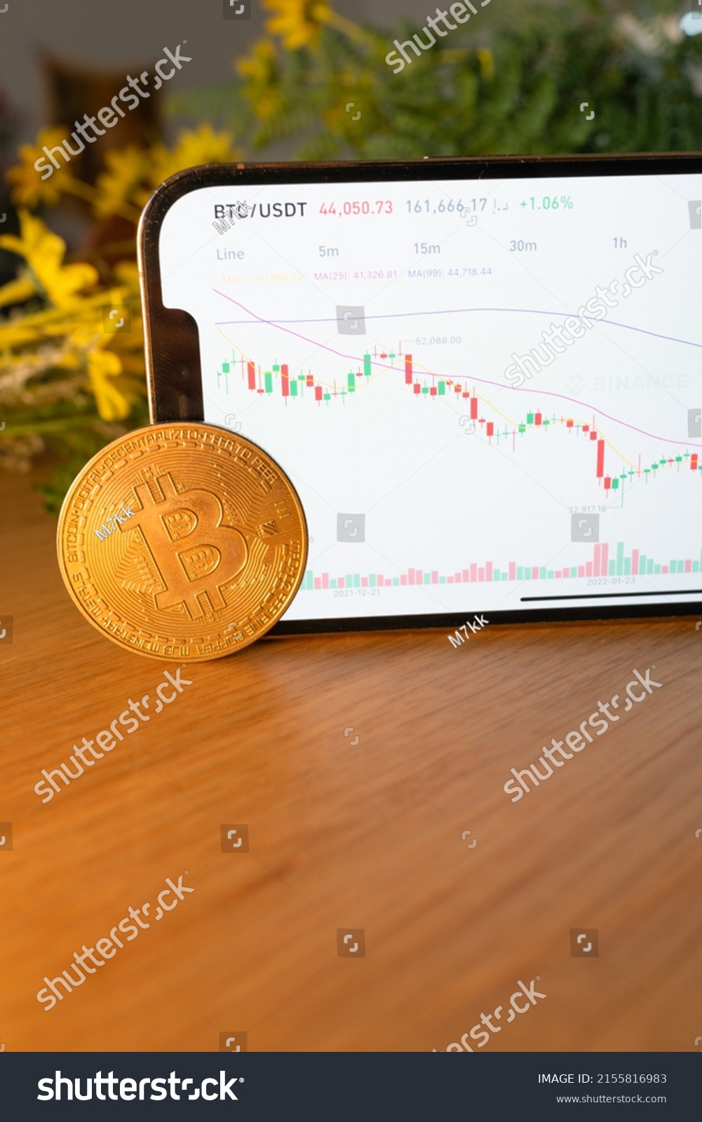 Bitcoin Gold Coin Crypto Chart On Stock Photo 2155816983 | Shutterstock