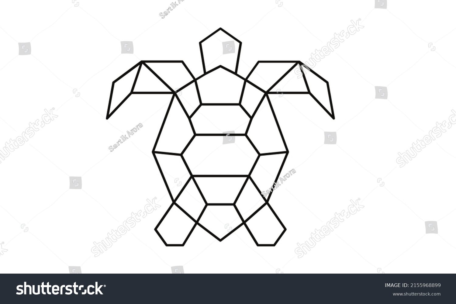 Turtle Illustration Isolated On White Backgroundturtle Stock ...