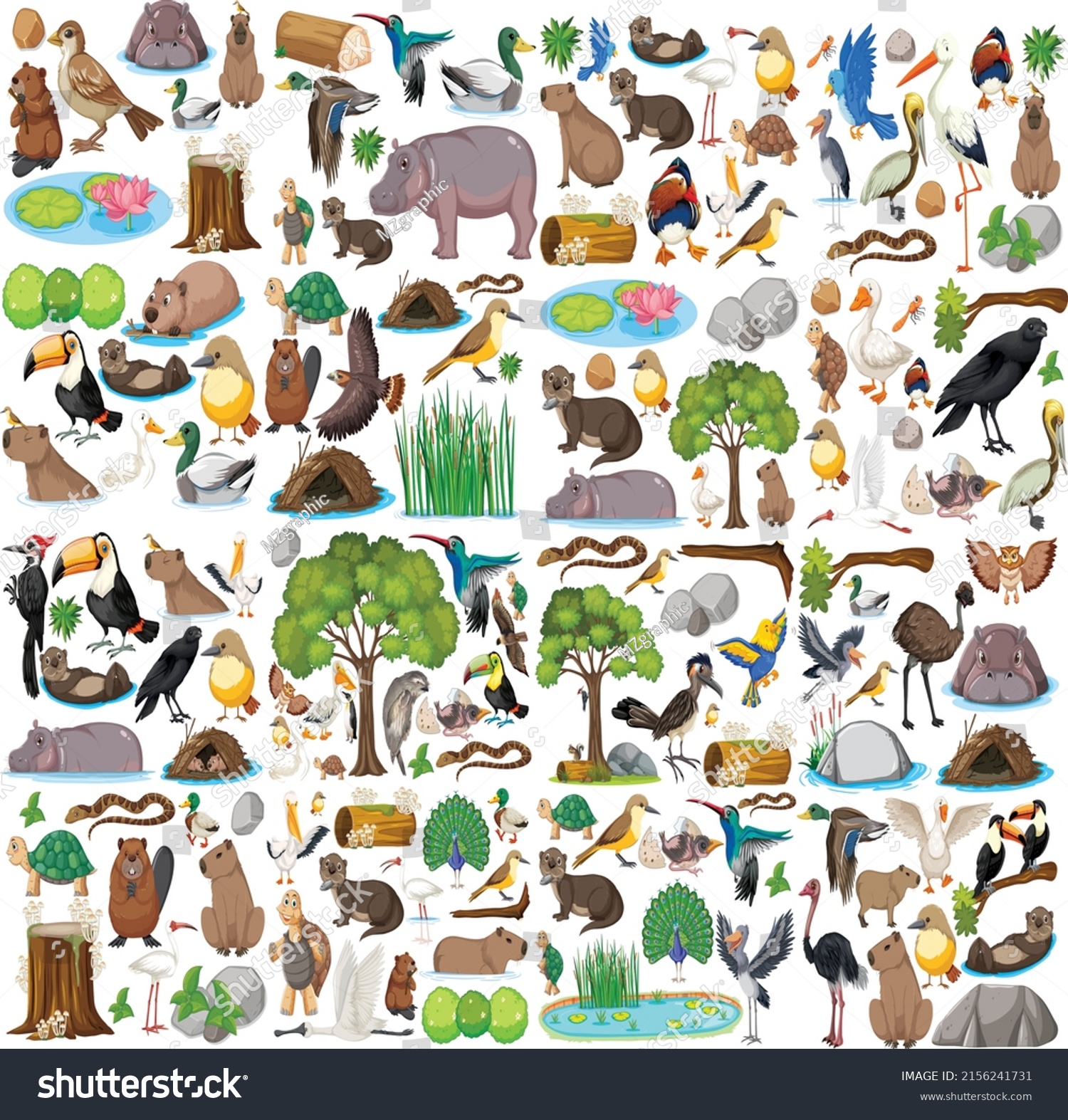 Different Kinds Wild Animalscollection Vector Illustration Stock Vector ...