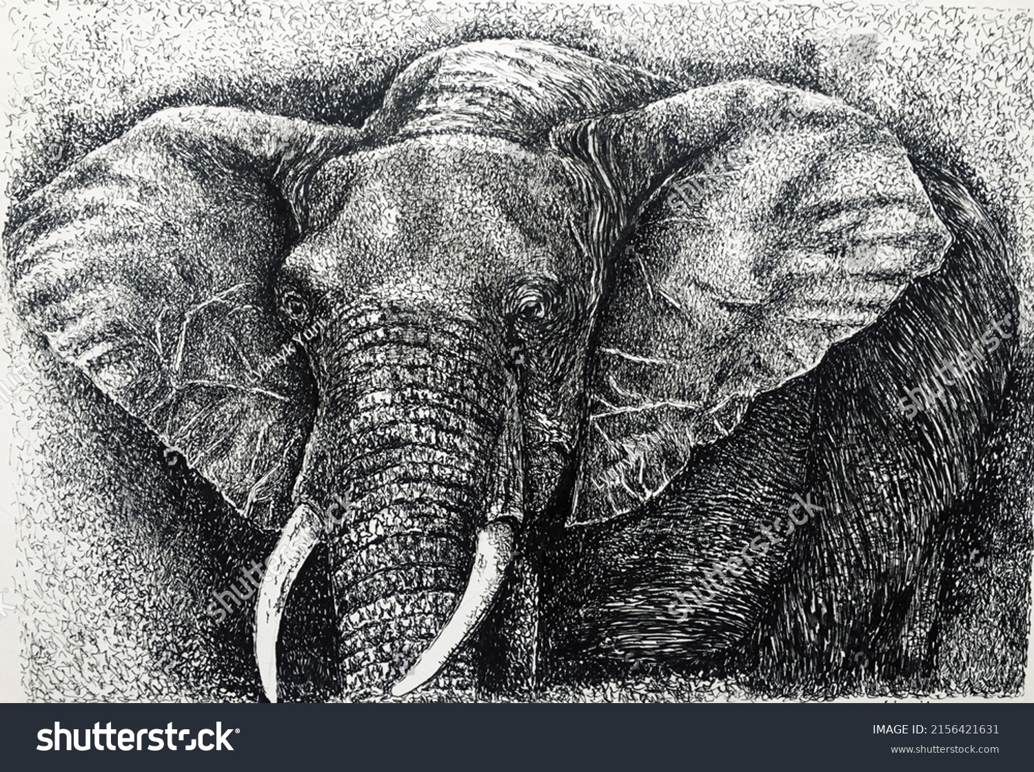 Big African Elephant Illustration Detailed Drawing Stock Illustration ...