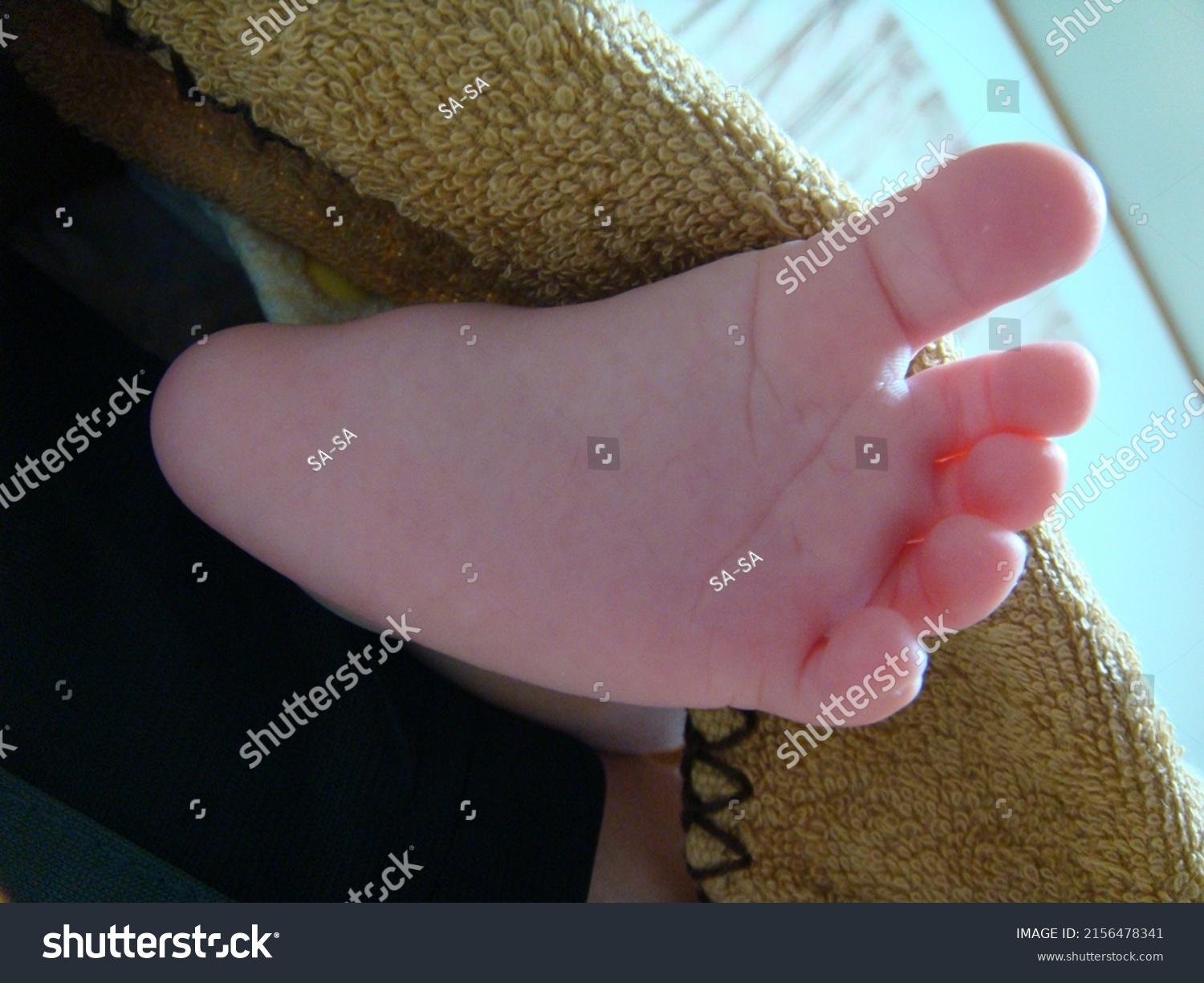 Pictures Cute Baby Soles Stock Photo 2156478341 | Shutterstock