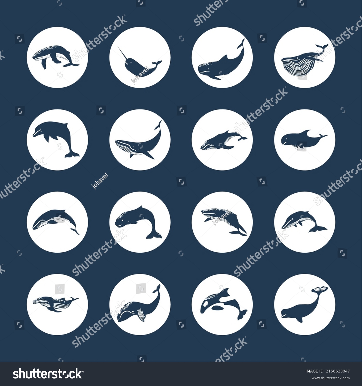 Set Silhouette Whales Animals Stock Vector (Royalty Free) 2156623847 ...