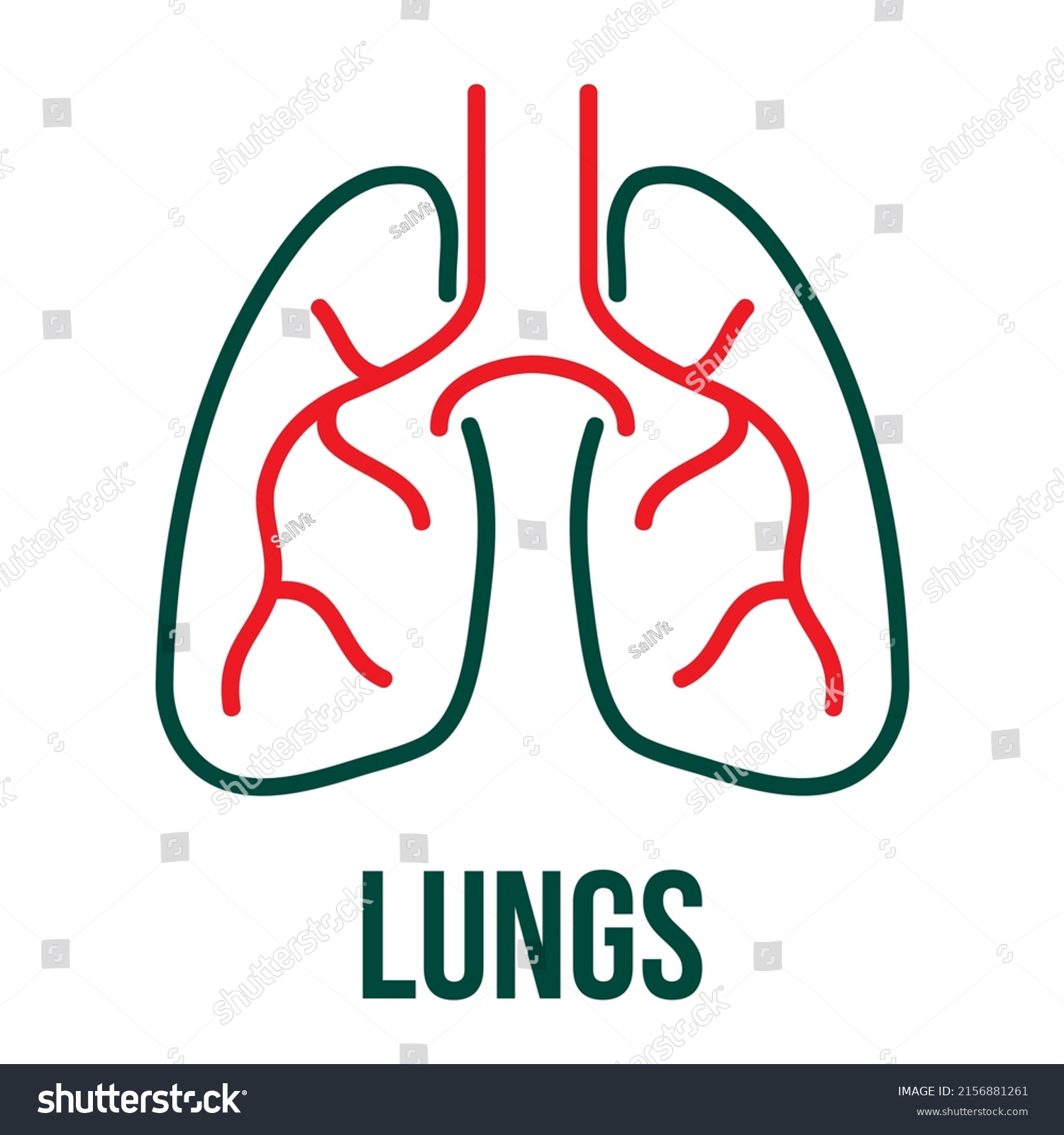 Human Lungs Icon Pulmonology Theme Medical Stock Vector (Royalty Free ...