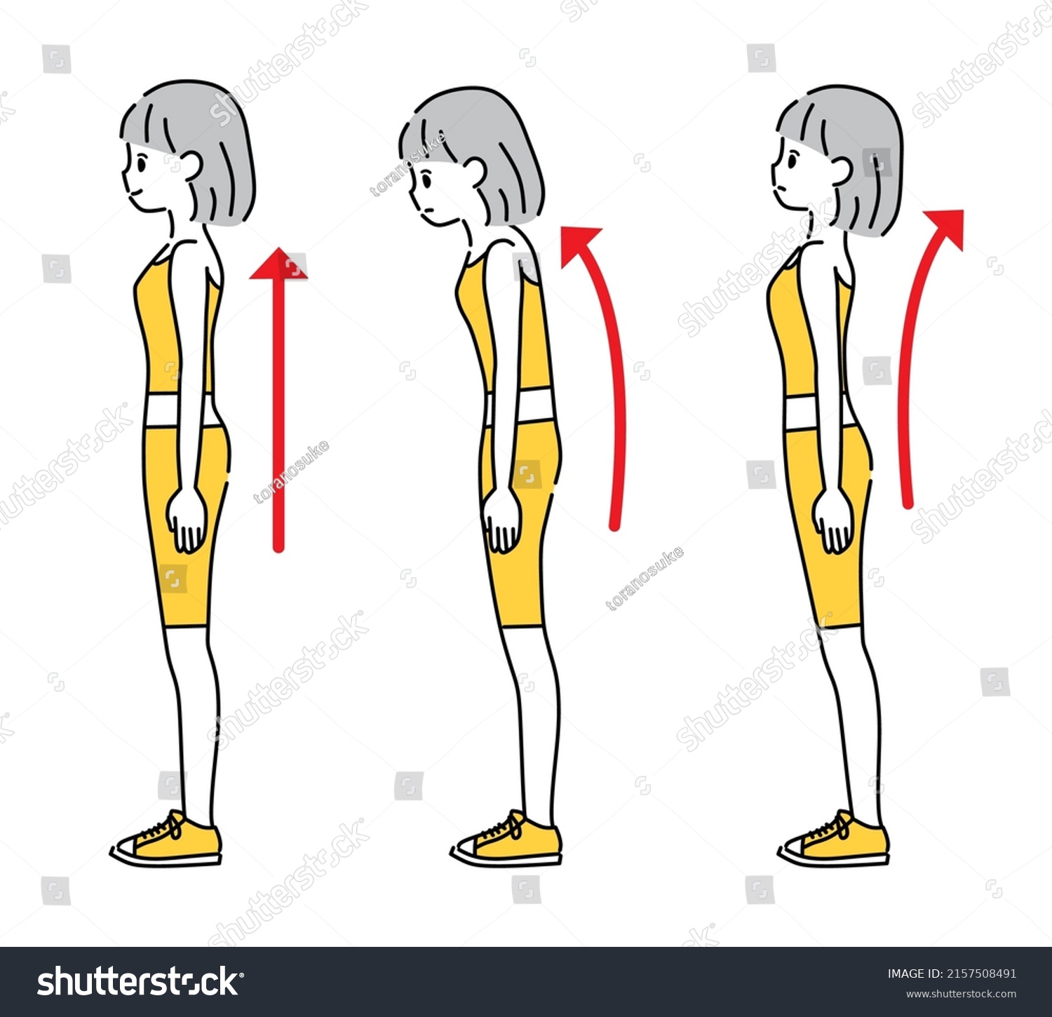 Illustration Correct Way Standing Stock Vector (Royalty Free ...