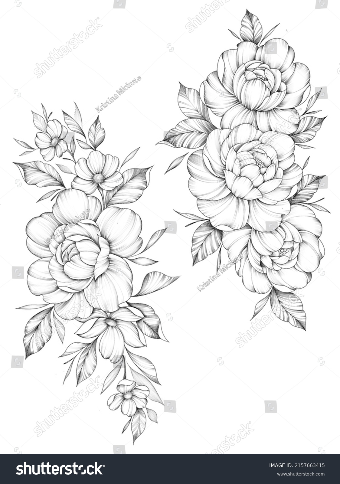 Set Flowers Tattoo Botanical Peony Sketch Stock Illustration 2157663415 ...