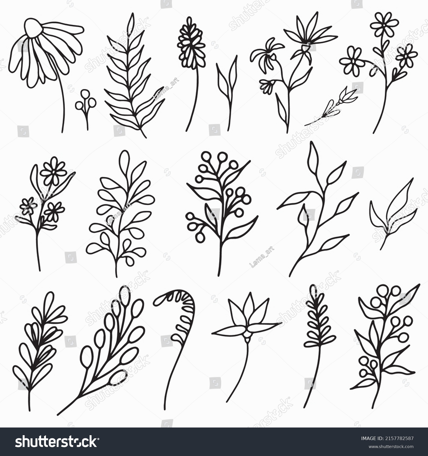 Collection Hand Drawn Wild Flowers Vector Stock Vector (Royalty Free ...