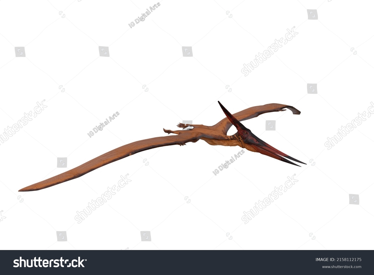 Pteranodon Giant Flying Reptile Dinosaur 3d Stock Illustration ...