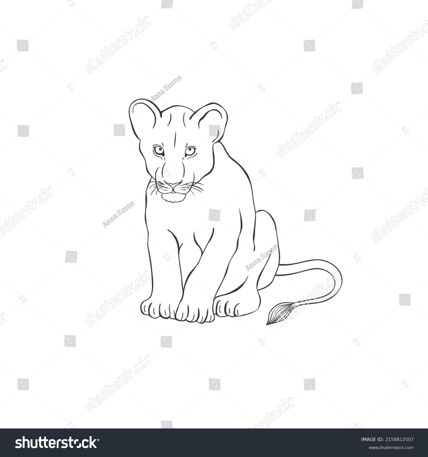 Lion Cub On White Background Vector Stock Vector (Royalty Free ...